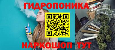 эйфоретик Гуково