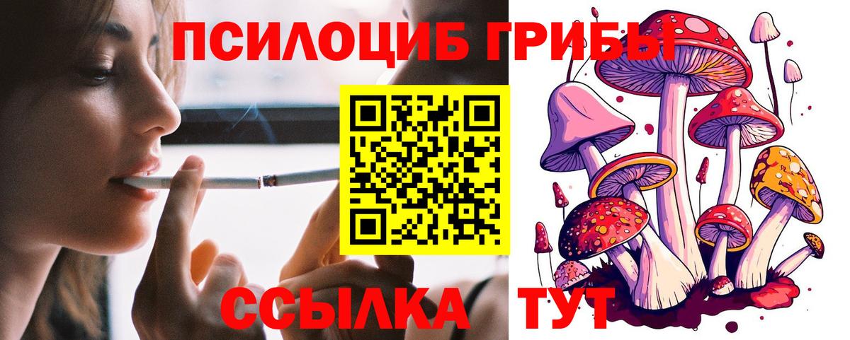 Галлюциногенные грибы GOLDEN TEACHER  Вход с VPN  Владикавказ  Псилоцибиновые грибы GOLDEN TEACHER 