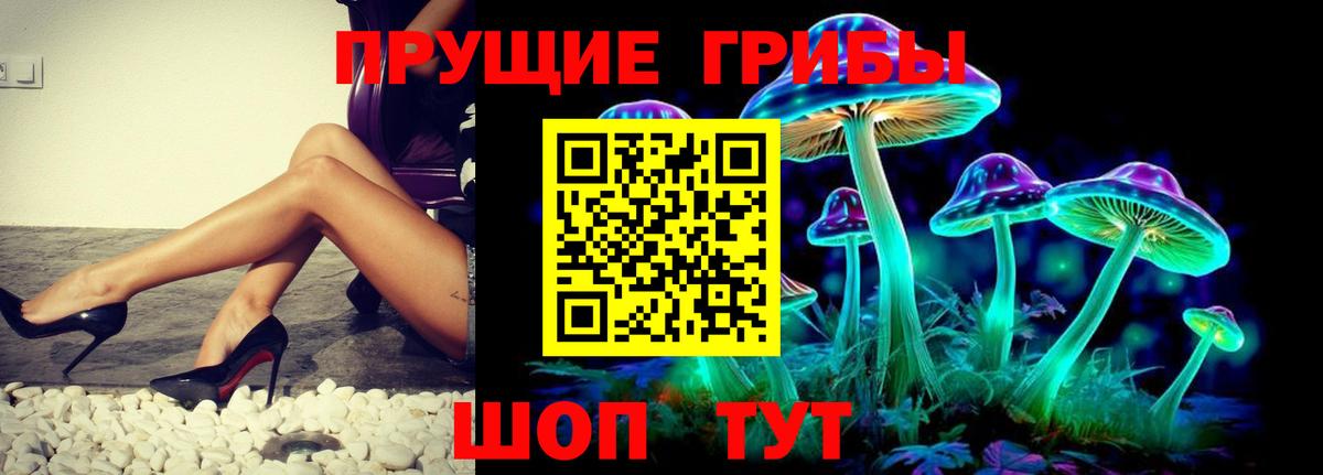 Галлюциногенные грибы Magic Shrooms Владикавказ